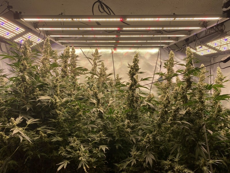 728CC9F9-8575-47EA-8E08-B4921281DB54