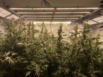 728CC9F9-8575-47EA-8E08-B4921281DB54