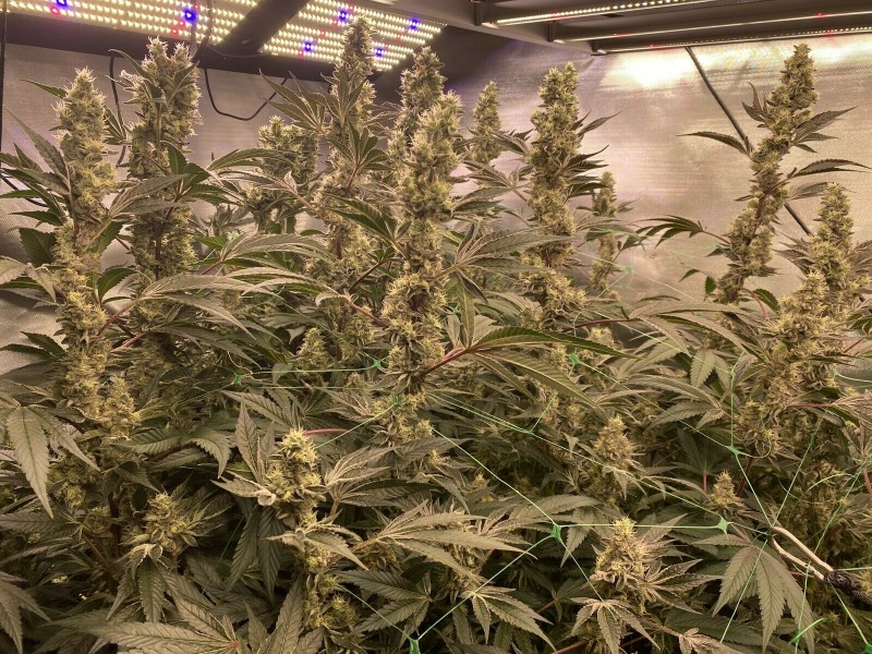 1AF0E6A2-59EC-4F2A-A534-0FA12D2448B4