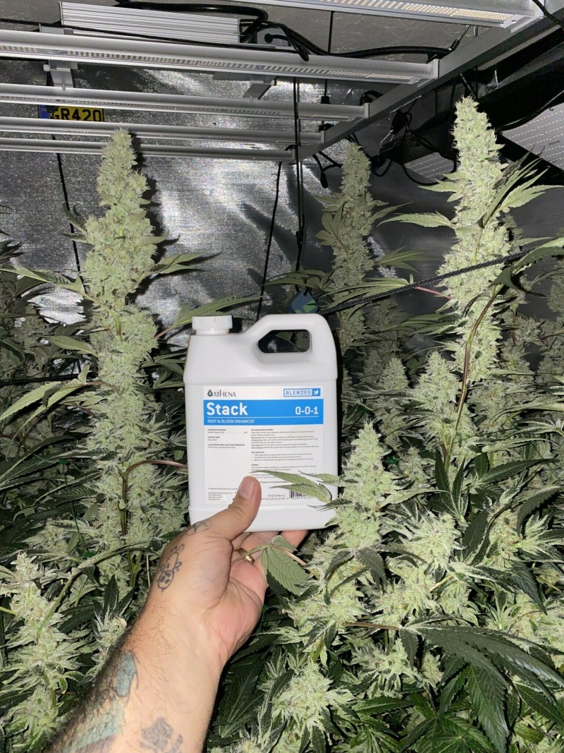 0B37B2CE-8248-4214-B77E-4D4943852237