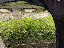 FADAD6A3-BD6C-4B68-A717-DEAAF0545F38