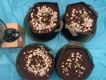 880748EF-227A-456A-A00F-B30C61E3748B