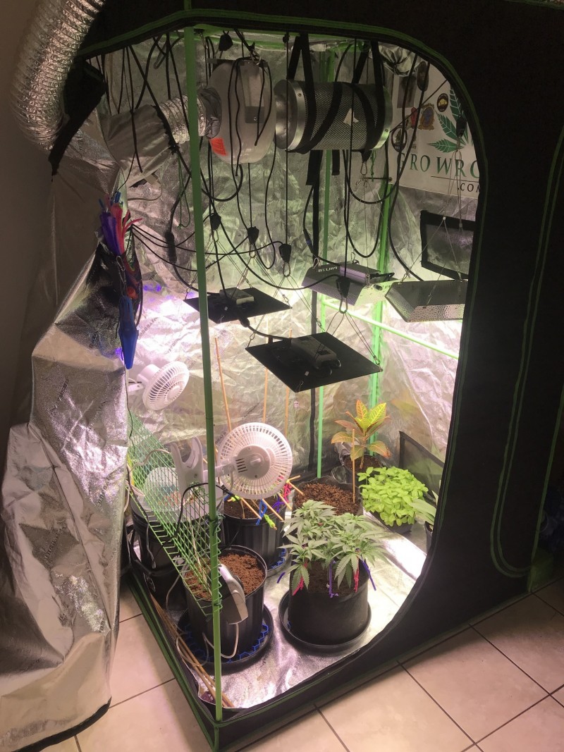 00284468-189E-4905-BCA4-A893A928D59C