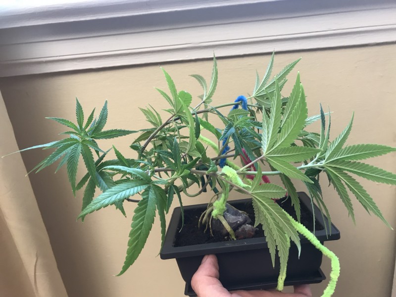 E0345BB2-6947-4928-9E61-784659AE3292