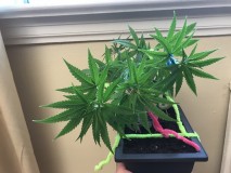 681CD0A5-A00C-458B-9949-E0F4AF06838A