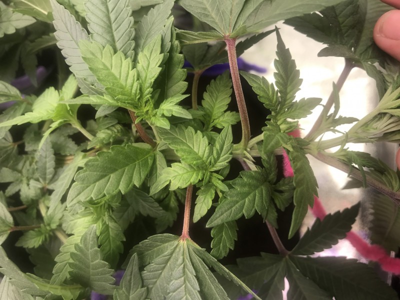 6C7B0836-E08D-4F83-A97D-5D77C6A36A1B