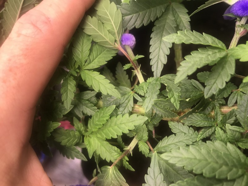 BEDDA88D-00A5-423E-923B-1460AEF7D2BD