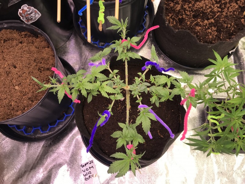 B9D82C3F-B5EF-4A72-8A35-718FD84CBCBC