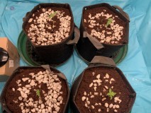 1B57D6BC-AFE5-4C45-969E-5DB71B8F9A00