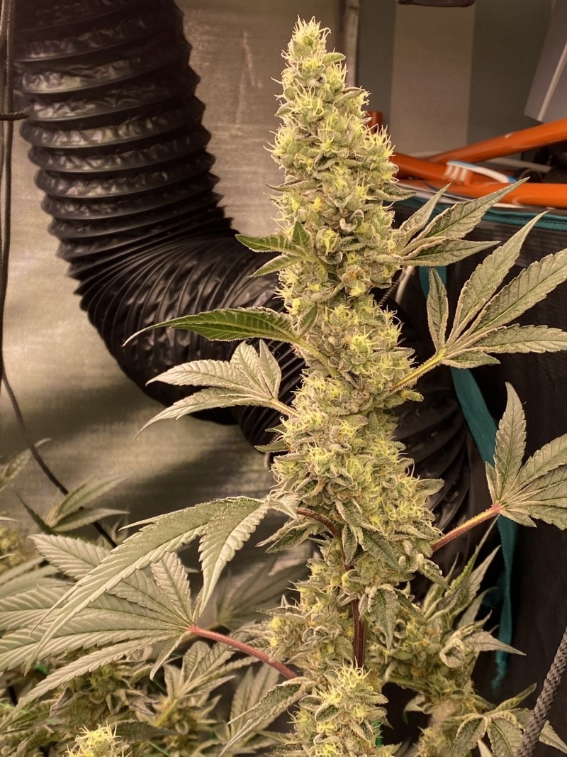 DF8A0608-457B-4684-8E56-FB26496B5C60