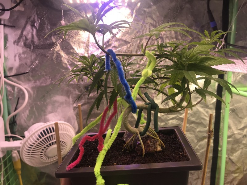 1132BBBB-F52A-4E29-AB71-8F8278F5E1E6