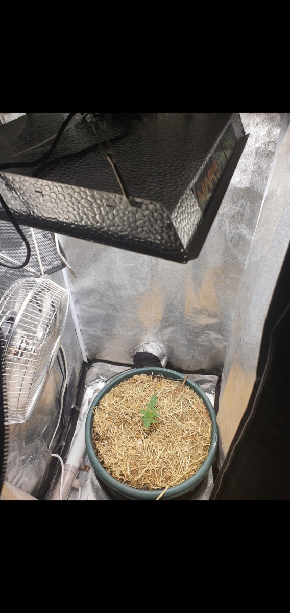 Screenshot_20210925-074026_Gallery