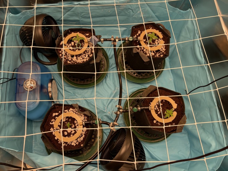 BF2DA64C-8853-432E-9081-435E32921C86