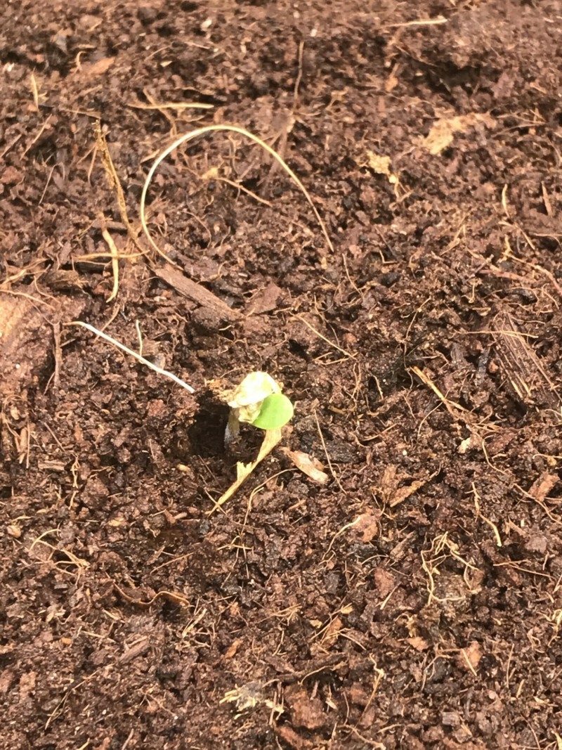 2B5F4EDB-FABE-40E5-B3BA-13B1A3349CB1