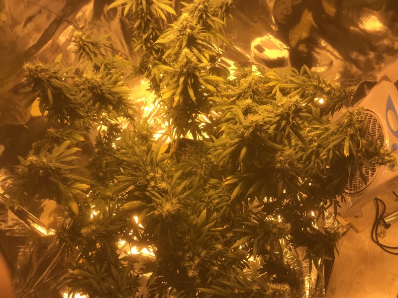 A3CE7696-6B49-4568-A953-18930E78D55B