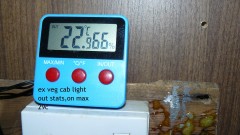 tangie vk cj 25 09 21 30 days tangie 031