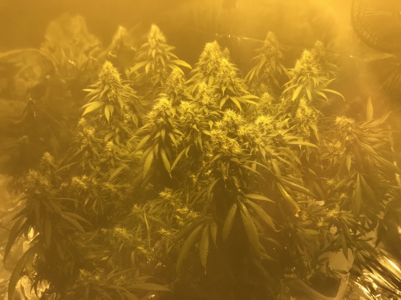 500446E0-0E36-419E-A98B-841530E50E8F