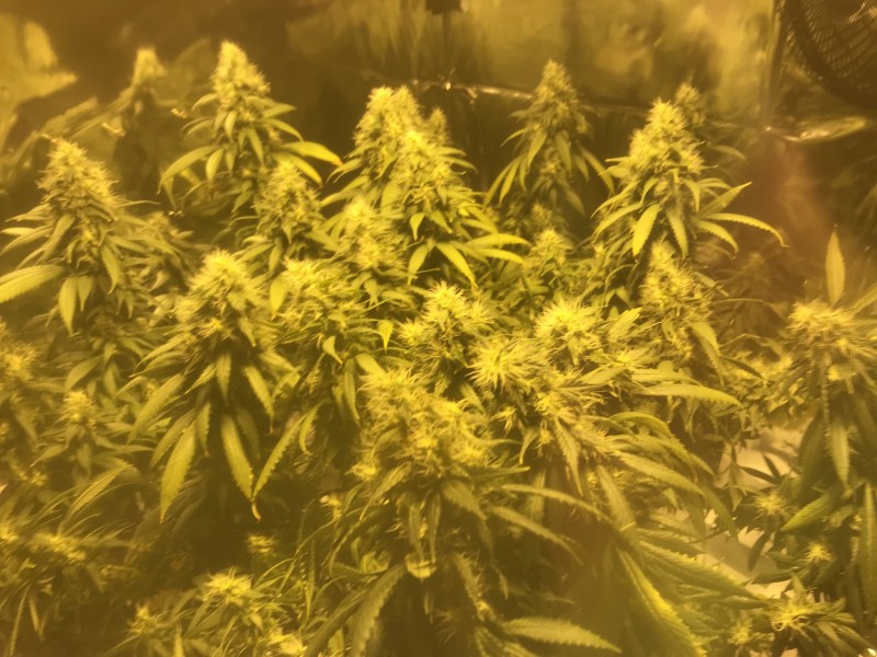 81AB1C0B-5F1E-4687-B1B0-084699CC800E