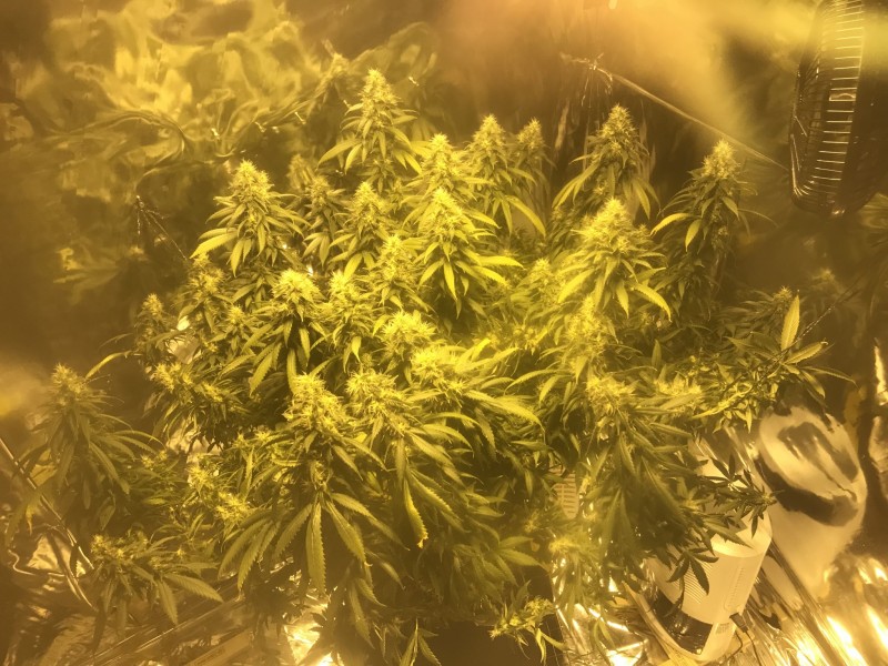 3CF3B983-D514-4A91-B44B-2CF25DEE1B63