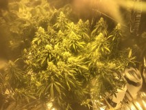 3CF3B983-D514-4A91-B44B-2CF25DEE1B63