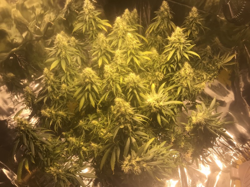 72EF73DB-8C36-4E15-A515-6B797BAE2A49