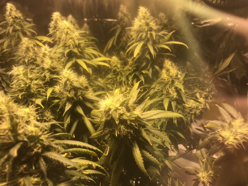 888AF78A-C432-4749-A123-DF331202FD9A