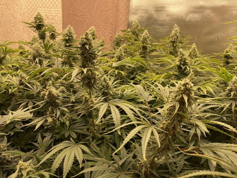 087AA4EF-79A6-4BBC-A0D1-B16247ED55F0