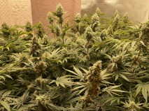 0FB46741-3197-42E5-9B51-B840E4240E60