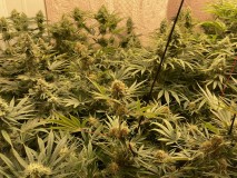 4C3F2091-BAE4-42EF-91DA-E4E908971581