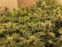 D2FF56B0-4EB1-47F5-A5E3-A6FB1077C28F