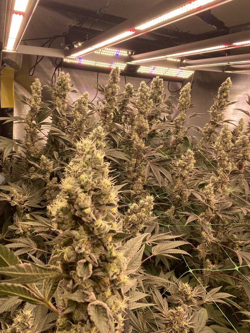 7B3E3AD2-1796-48EA-95C1-9C45EE7656D3