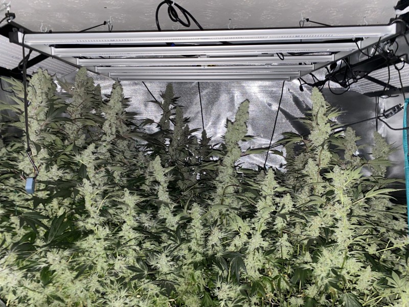 8F10B995-1B95-4B1E-B8CC-671008D2478C