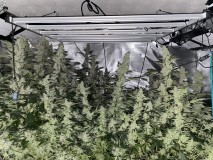 8F10B995-1B95-4B1E-B8CC-671008D2478C