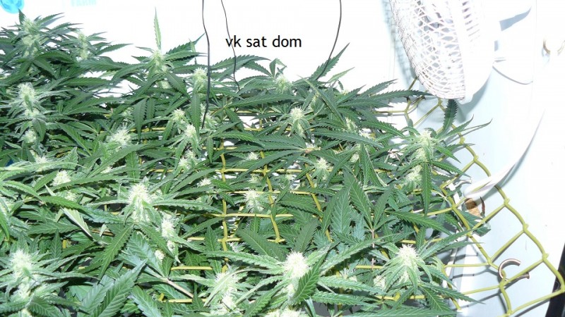 cond td vk cj 27 09 21 047