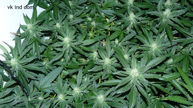 cond td vk cj 27 09 21 049