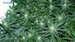 cond td vk cj 27 09 21 049