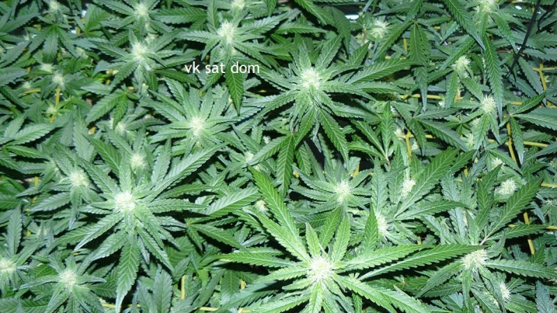 cond td vk cj 27 09 21 051