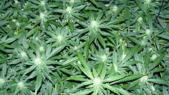 cond td vk cj 27 09 21 051