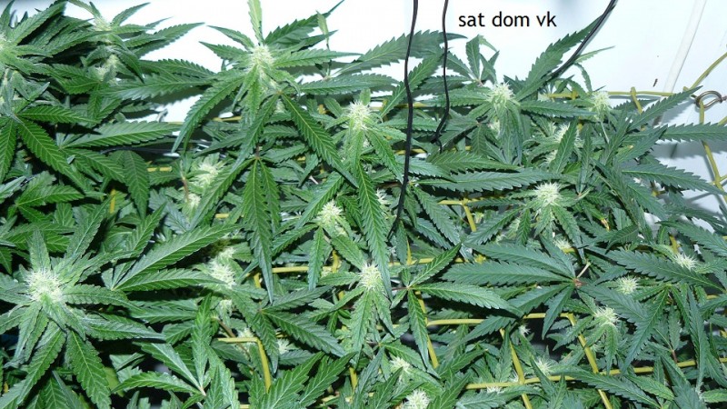 cond td vk cj 27 09 21 052