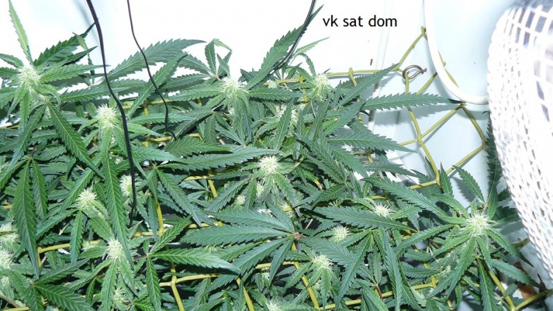 cond td vk cj 27 09 21 054