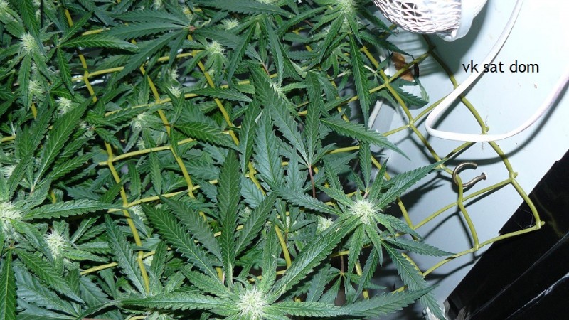 cond td vk cj 27 09 21 055