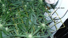 cond td vk cj 27 09 21 055