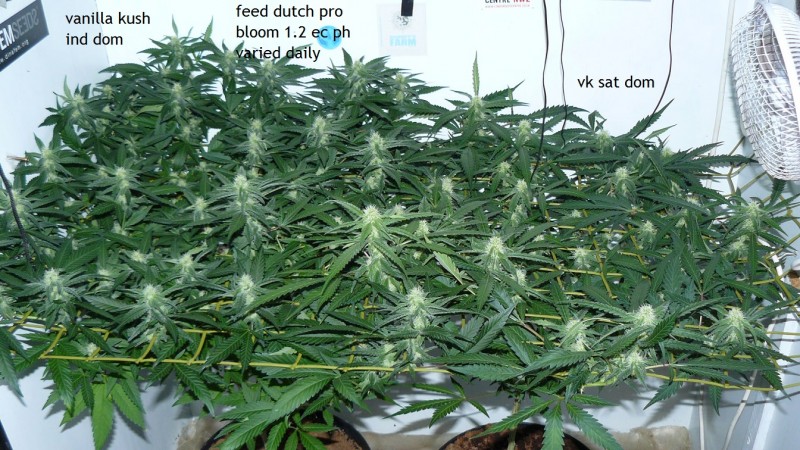 cond td vk cj 27 09 21 056