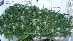 cond td vk cj 27 09 21 056