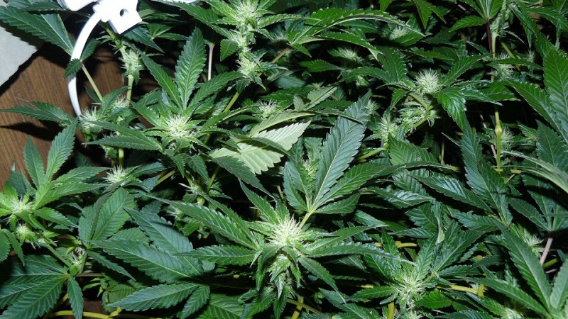 cond td vk cj 27 09 21 064