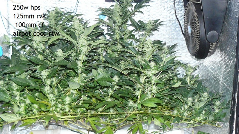 cond td vk cj 27 09 21 092