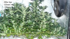 cond td vk cj 27 09 21 092