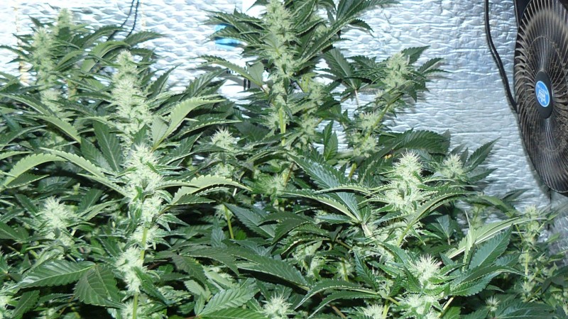 cond td vk cj 27 09 21 094