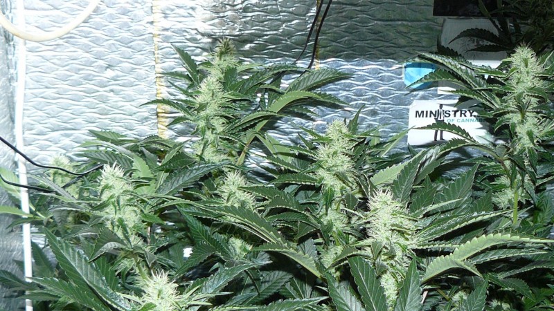 cond td vk cj 27 09 21 102