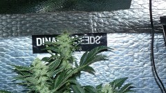 cond td vk cj 27 09 21 103